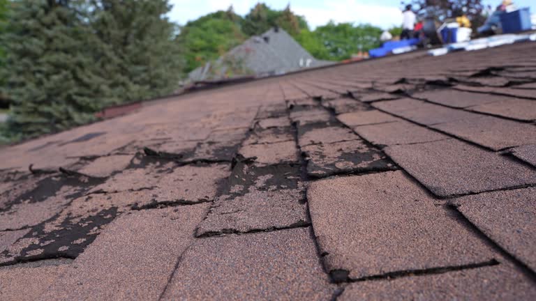 Best Steel Roofing  in Manistee, MI