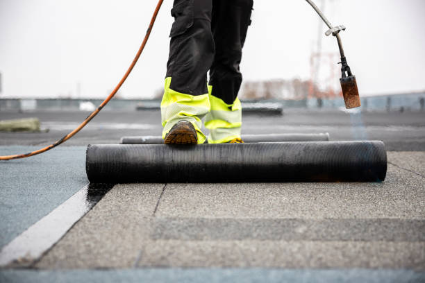 Best Roof Maintenance and Cleaning  in Manistee, MI