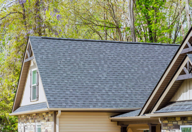 Best Asphalt Shingle Roofing  in Manistee, MI